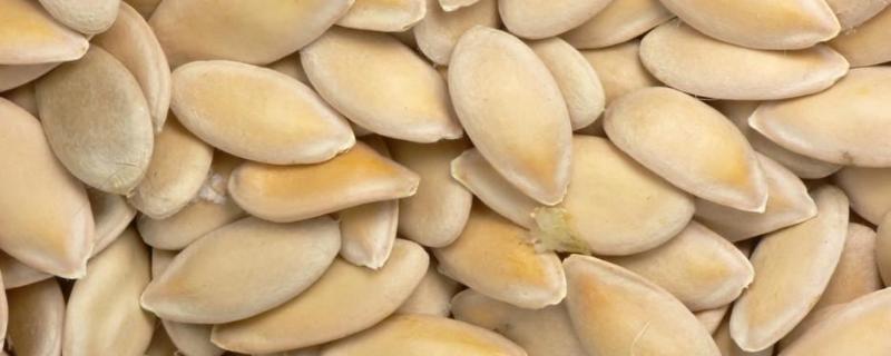 毛豆怎么种