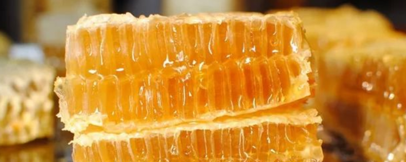 什么蜂蜜最好？介绍了常见的蜂蜜品种