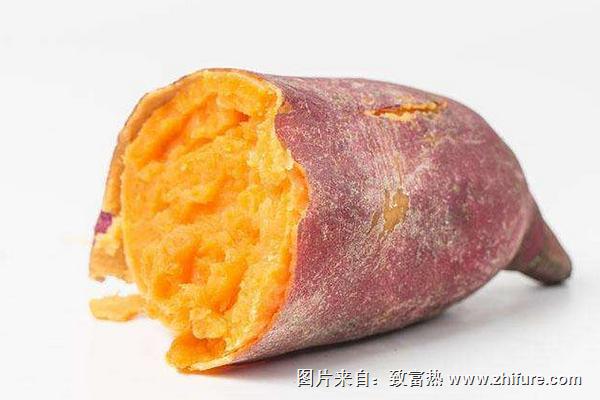 什么是优质高产红薯品种