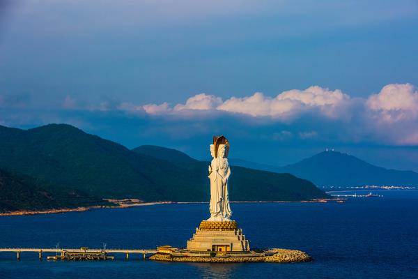 养殖法滴水观音