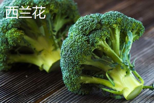 田间管理花椰菜