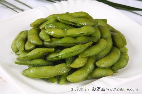 毛豆育苗移栽技术