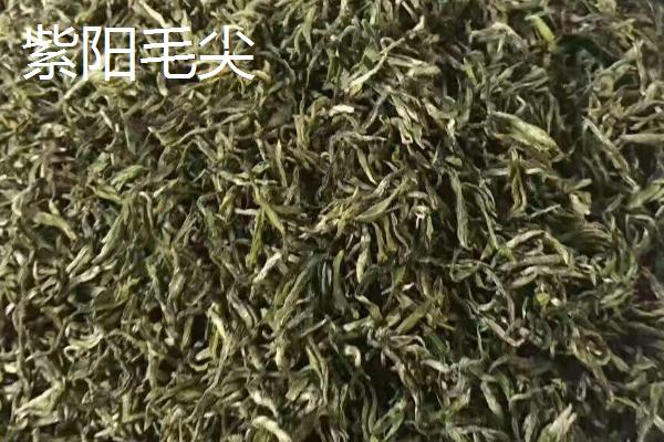 是绿茶吗