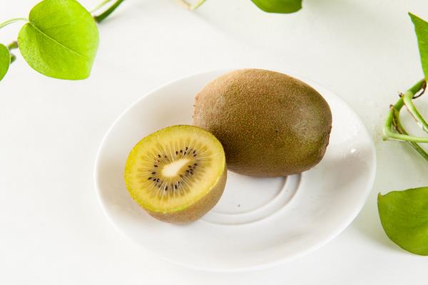 海拔多少米适合种植猕猴桃