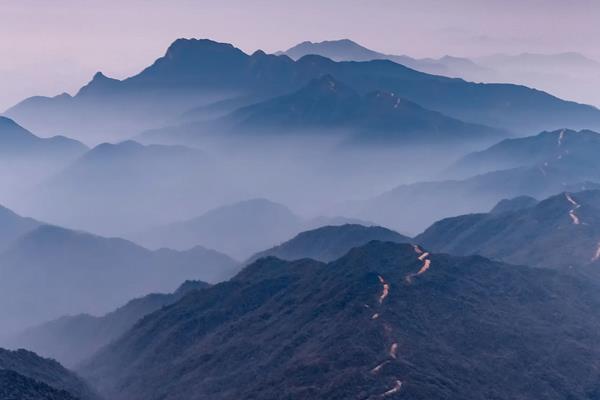 山坑鳗产地分布在哪里？有什么特点