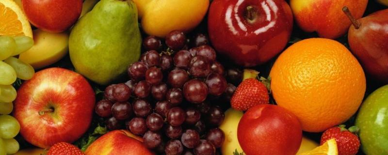 秋天吃什么水果对身体有好处？秋季养生原则及注意事项