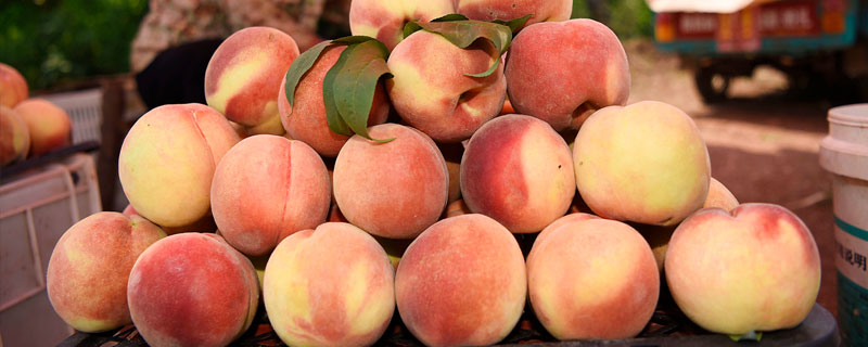 今年很多水果涨价，为什么桃子很便宜？主要有两个原因